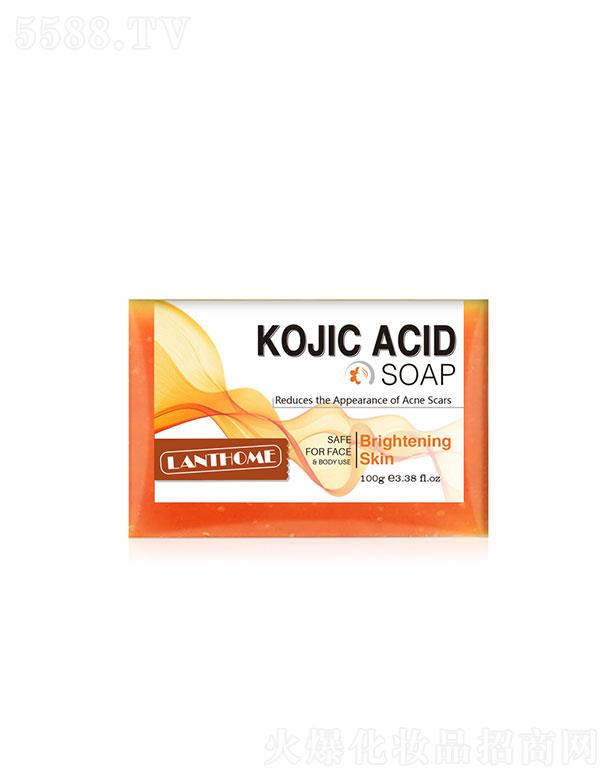 �V����������Ƽ����޹�˾���V���������� ɏ��Ȫ������  100g  �坍���o