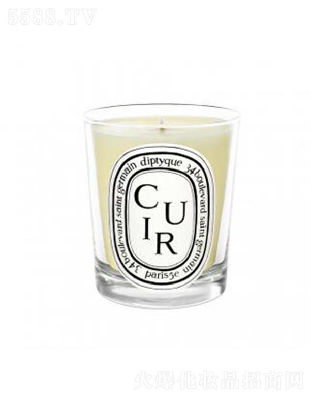 ���֣��Ϻ����Q�����޹�˾��diptyuqe���Ϟ�T-Ƥ��