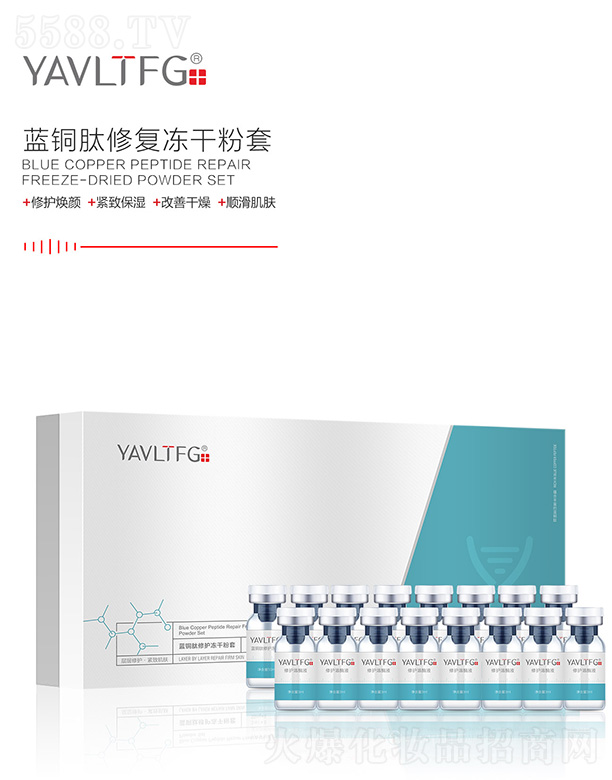 YAVLTFG�{�~�����o���ɷ���