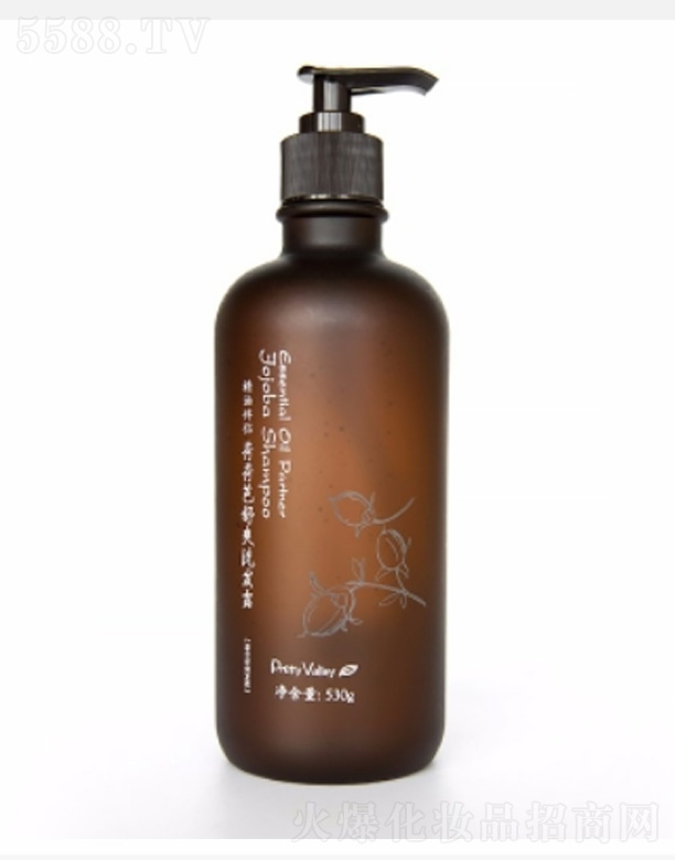 ���Ͱ�H�ɺɰ���ˬϴ�l¶ 530g