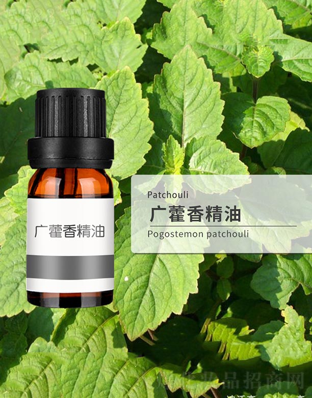 廣藿香精油