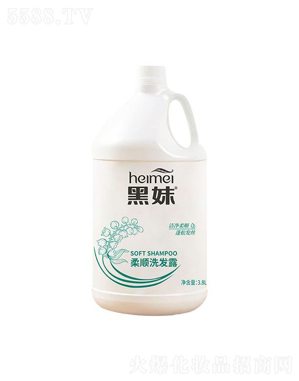�������ϴ�l¶ 3.8L