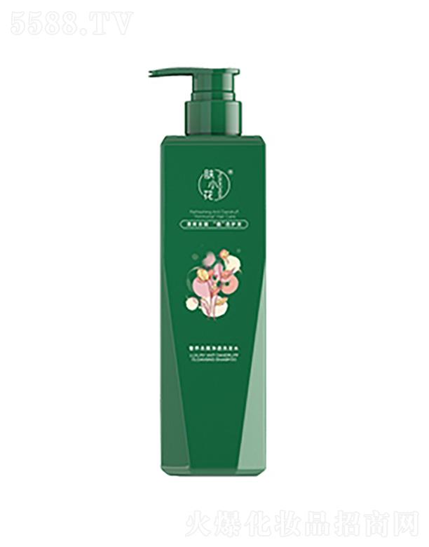 �wС�����B��м��͸ϴ�lˮ 500ml