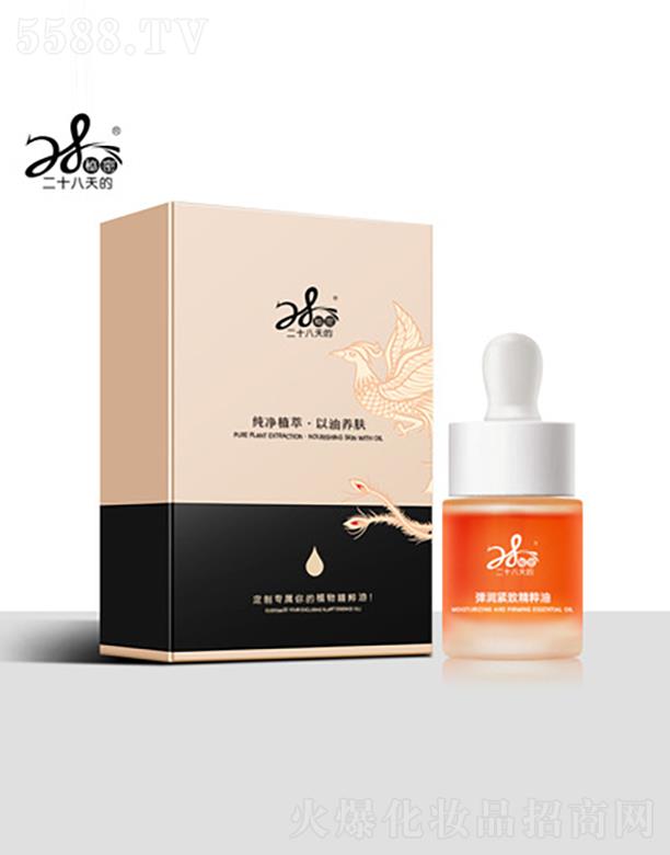 28������܏����o�¾�����