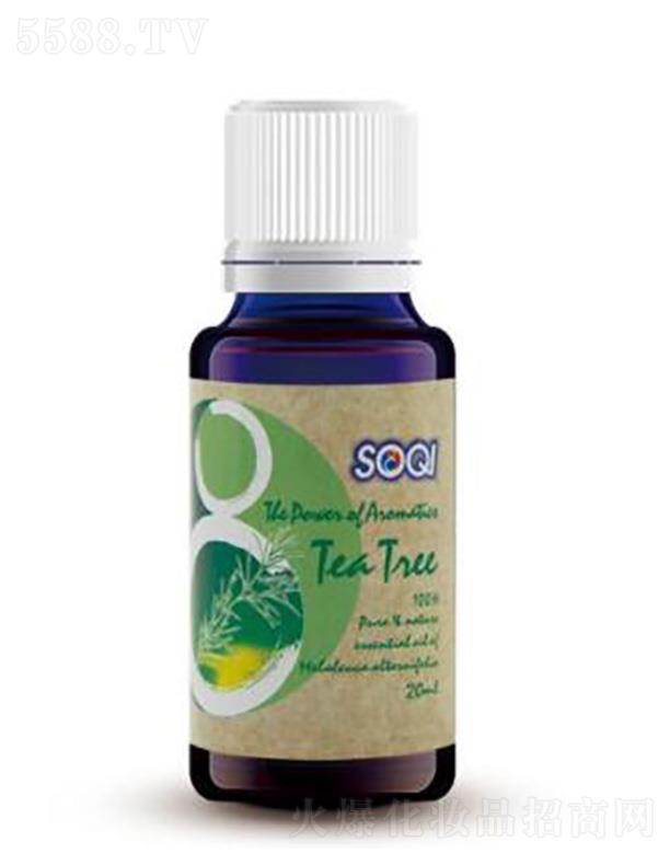 SOQI�η����͡�����侫��